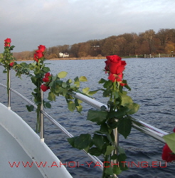 Rosen an Bord Hochzeitsschiff